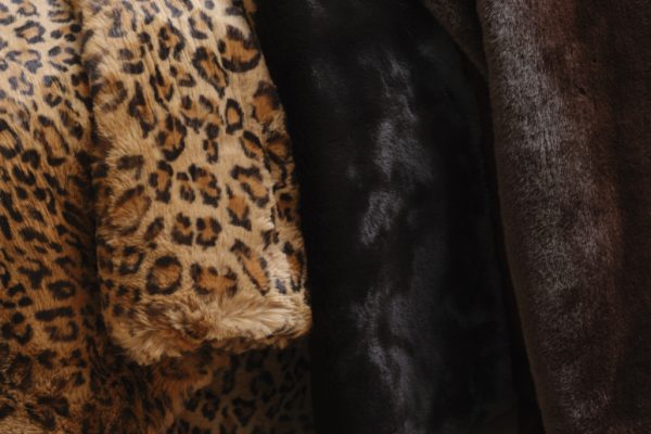 BRADY_GROUP_886-773x1030